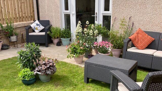 Open Back Garden (1)