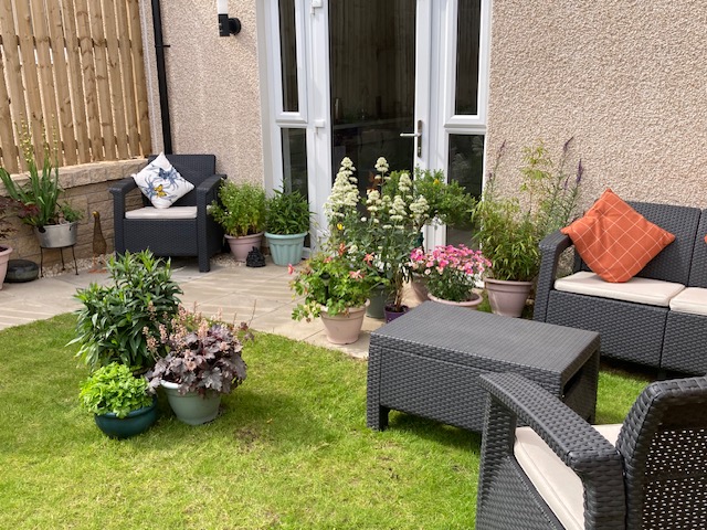 Open Back Garden (1)