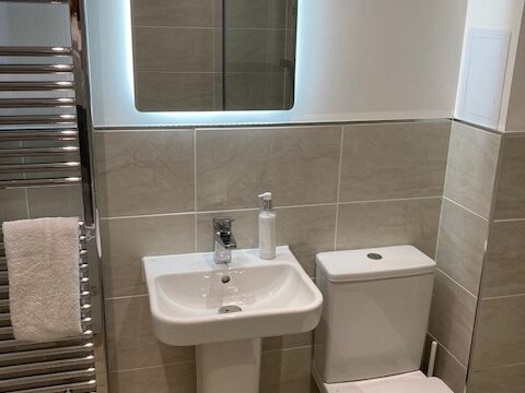 Open Main Bathroom (1)