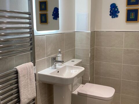 Open Main Bathroom (2)