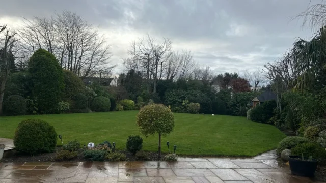 PHOTO-2026-01-09-14-18-06-_4__1767970035759
