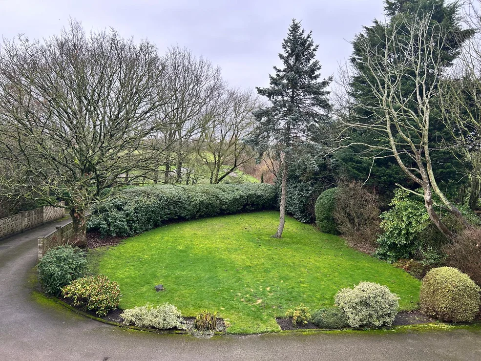 PHOTO-2026-02-19-12-32-53-_6__1771515894227